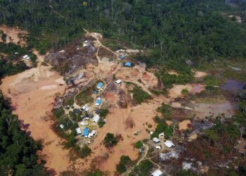 Lula defende responsabilização em caso de violações contra Yanomami