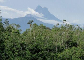 Entidades yanomami denunciam entrada de garimpeiros no Pico da Neblina