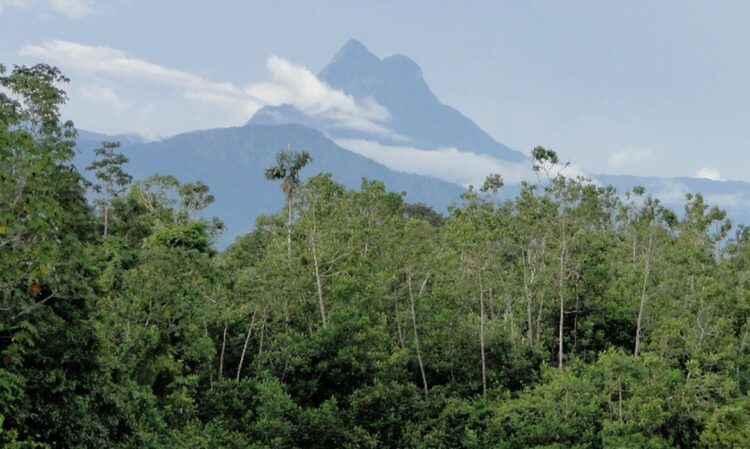 Entidades yanomami denunciam entrada de garimpeiros no Pico da Neblina